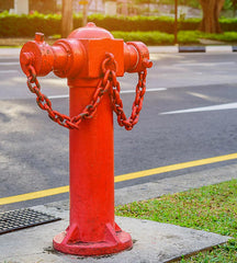 Wet Barrel Fire Hydrant - Standard